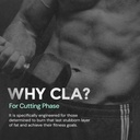 nutrabay-pro-cla-conjugated-linoleic-aci-81a6v1Svq1L.jpg