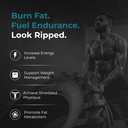 nutrabay-pro-l-carnitine-fat-burner-1000-71w0aSinvvL.jpg