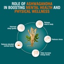 himalaya-ashvagandha-120-tablets-stress--714AVL7uEuL.jpg