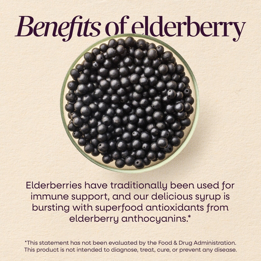 nature-s-way-sambucus-traditional-elderb-91Jlo99eTDL.jpg