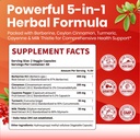 vev-berberine-supplement-with-ceylon-cin-81EBlOnRblL.jpg
