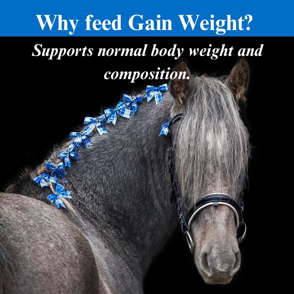 su-per-gain-weight-for-horses---equine-s-4.jpg