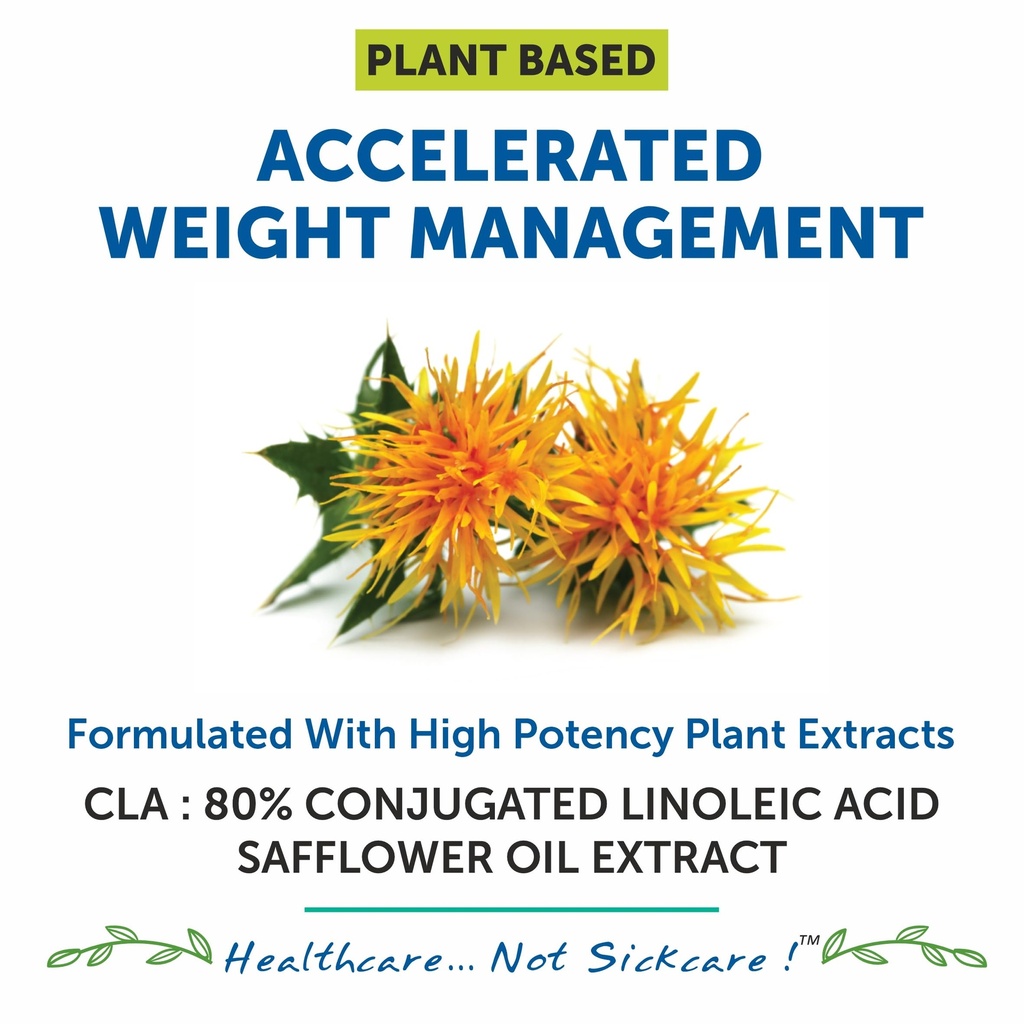 bliss-welness-cla-2000-conjugated-lenole-71Hig+RM8hL.jpg