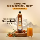 wow-life-science-sea-buckthorn-berry-pul-61Cr+vrwnML.jpg