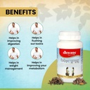 baidyanath-ayurved-medohar-guggulu-table-71tVKVal1oL.jpg
