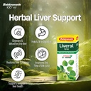 baidyanath-liverole-syrup-450-ml-711HwHvhkIL.jpg