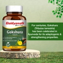 baidyanath-ayurved-gokshura-60-tablets-s-61eMCjpHNyL.jpg