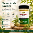 bhumi-amla-powder-churn-organic-and-pure-71HpIgftjML.jpg