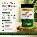 bhumi-amla-powder-churn-organic-and-pure-71R4SRklTxL.jpg