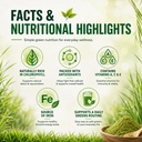 saptamveda-100-organic-wheatgrass-powder-71NSWDDAYCL.jpg