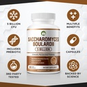 probiotics-for-digestive-health-saccharo-3.jpg