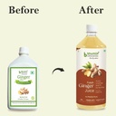 bhumija-lifesciences-ginger-juice-1l-sug-51hnbSTN6BL.jpg