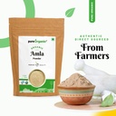 pure-organio-organic-amla-powder-versati-71sqzjakp2L.jpg