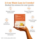 the-healthspan-co-metabolically-lean-for-618nJSD5bEL.jpg
