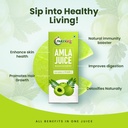 nutriorg-natural-amla-juice-1-ltr-pure-c-71Ykqkwx9VL.jpg