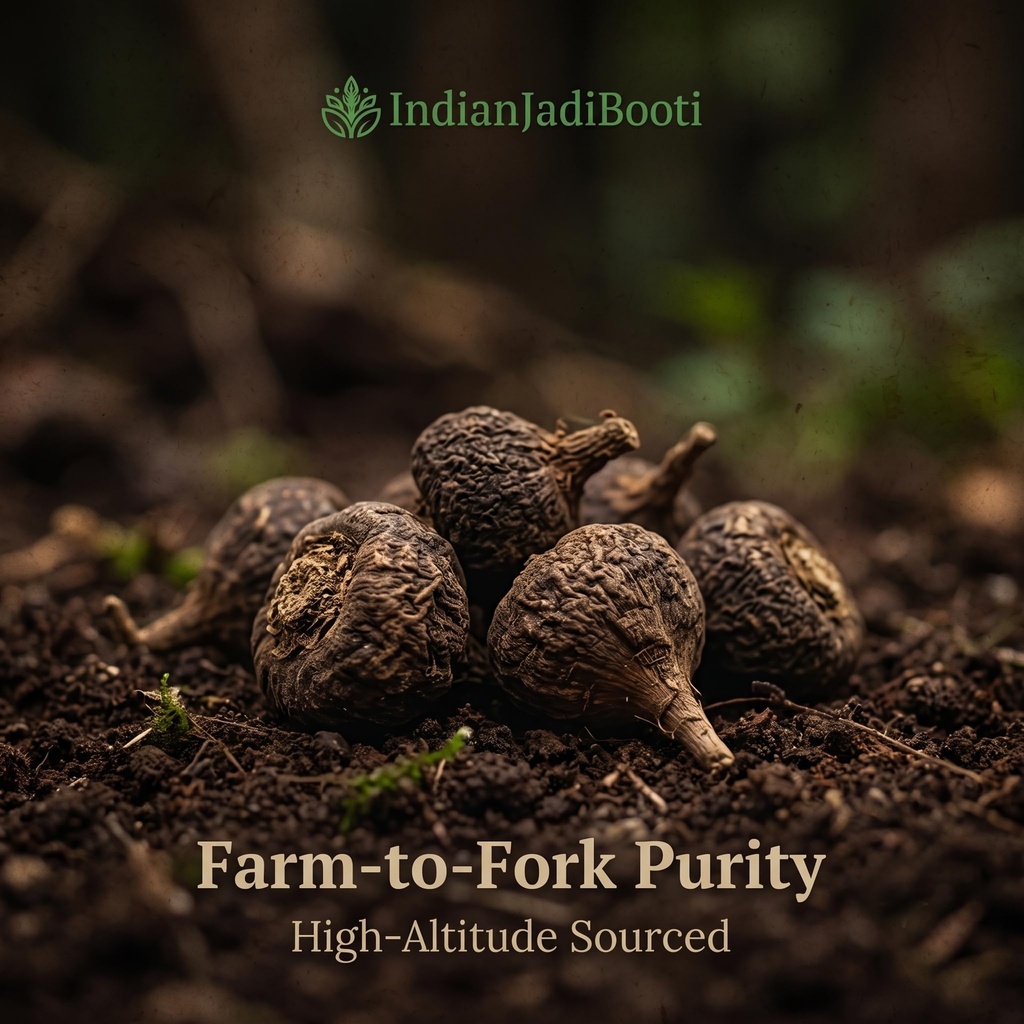 indianjadibooti-pure-black-maca-roots-le-81h8c16nuOL.jpg