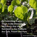 standard-process-inc-prost-x---whole-foo-4.jpg