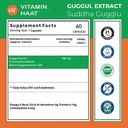 guggul-extract-500mg-suddha-medohar-gugg-71JkxgPhjcL.jpg