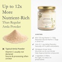 ayantara-himalayan-amla-powder-80g-100-o-81oHwDqLJcL.jpg