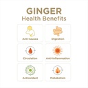 ginger-soother-lemon-honey-gingerade-dig-6.jpg