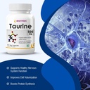 biotrex-nutraceuticals-taurine-500mg-60--81qdGtg+aRL.jpg