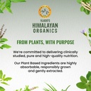 vlado-s-himalayan-organics-organic-colla-71TJI5IEB9L.jpg
