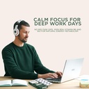 equafocus-clean-energy-focus-mints-10-ch-71whz4mR0OL.jpg