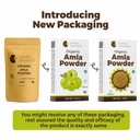 carmel-organics-amla-fruit-powder-340-gr-71cvFufejvL.jpg