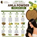 carmel-organics-amla-fruit-powder-340-gr-715I7t6K5PL.jpg