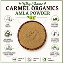 carmel-organics-amla-fruit-powder-340-gr-71pWBXldZqL.jpg