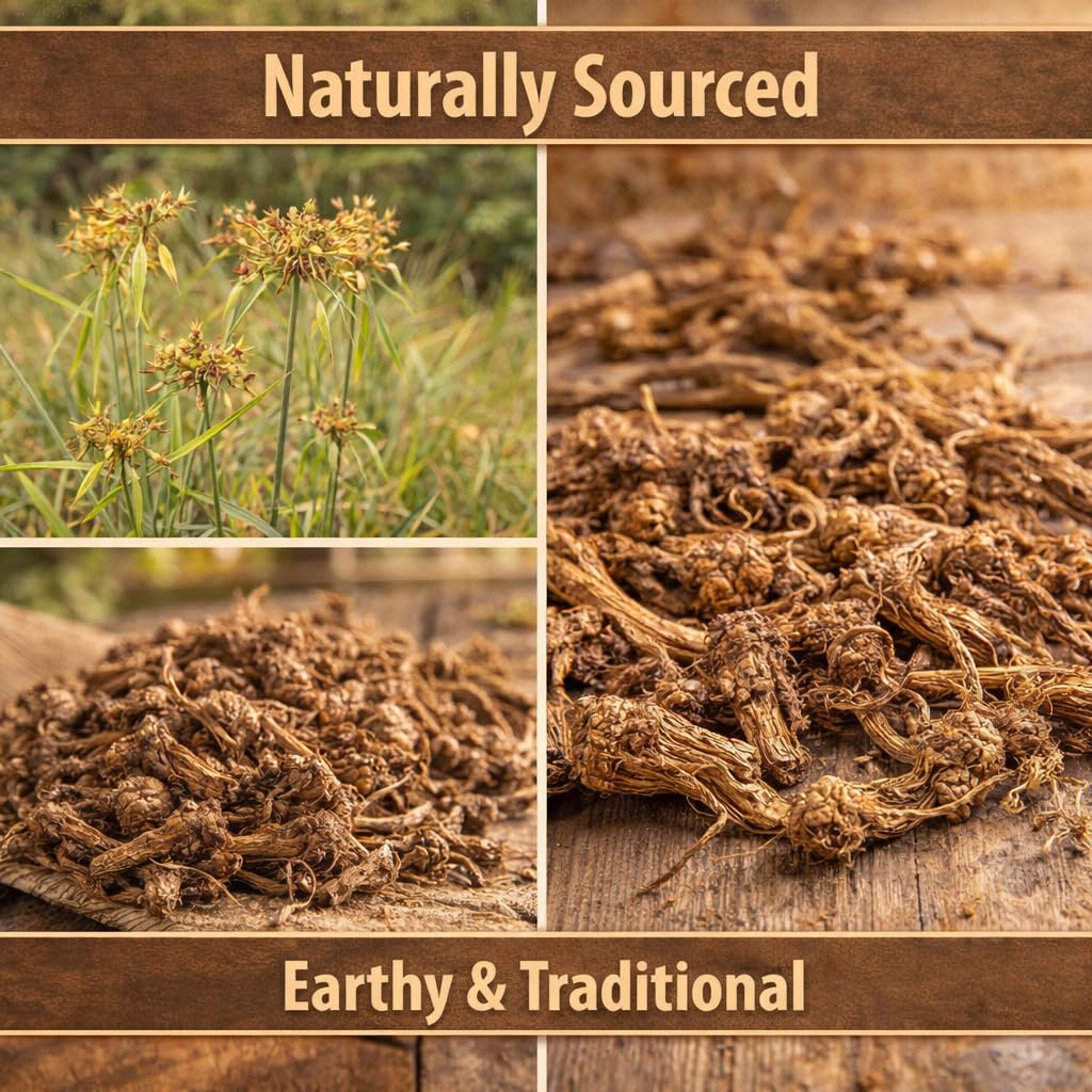 nagarmotha-root-100gm-raw-nagarmotha-cyp-71NQ74-A2+L.jpg