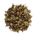 trh-gokhru-bada-pedalium-murex-large-cal-615CiY5+F2L.jpg