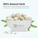 merlion-naturals-bhumi-amla-tablets-phyl-71yXVV-wcIL.jpg