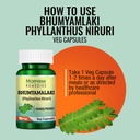 morpheme-remedies-phyllanthus-niruri-bhu-61FlX4rjkBL.jpg