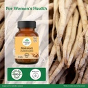 a-tata-product-organic-india-shatavari-6-61bwv7d6jQL.jpg