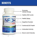 maac10-nadh-coq10-supplement-great-tasti-81IGyiqkPzL.jpg