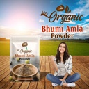 bhumi-amla-powder-100g-organic-bhumi-aml-71Qe29sc6LL.jpg