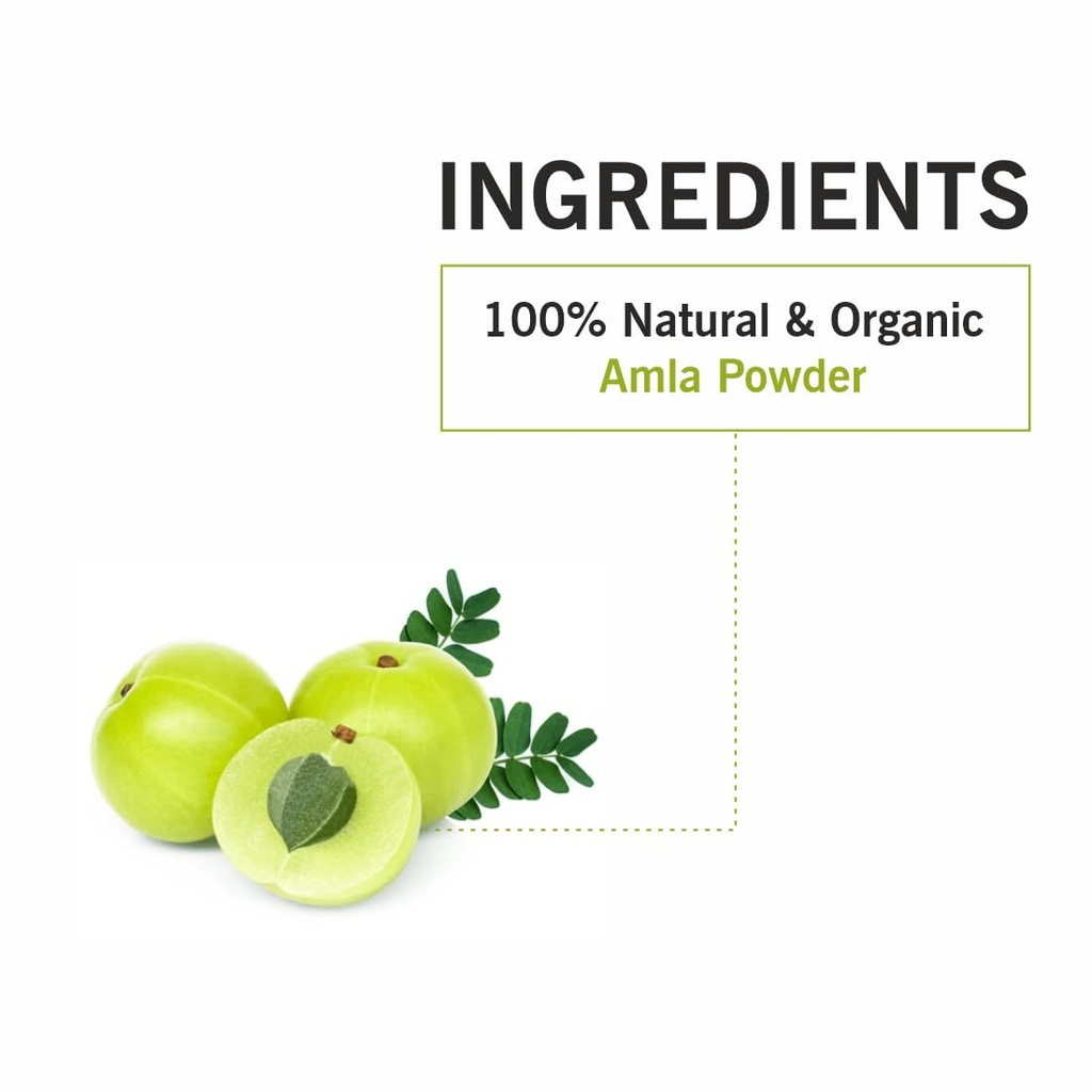 tqs-amla-powder-for-skin-hair-care-pure--516wGl3MIDL.jpg