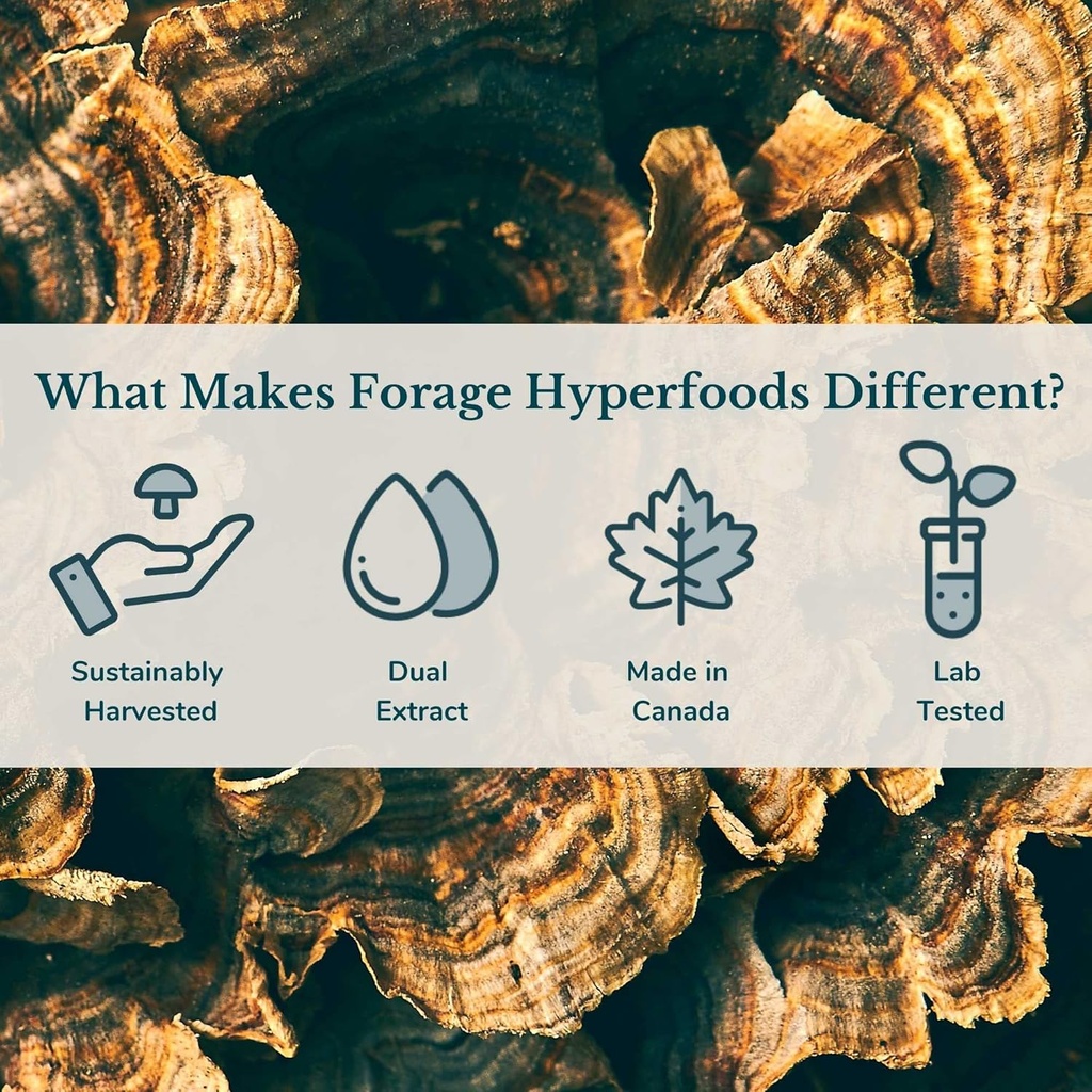 forage-hyperfoods--alcohol-free-canadian-3.jpg
