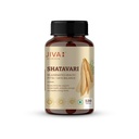 jiva-shatavari-tablets-500gm-100-pure-na-61cGs5xCJ3L.jpg