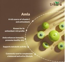 trikara-aloe-vera-ras-with-amla-sea-buck-61QGRy2lHiL.jpg