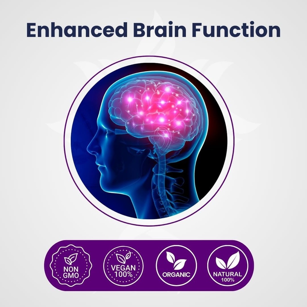 lions-mane-mushroom-extract-cognition-ca-2.jpg