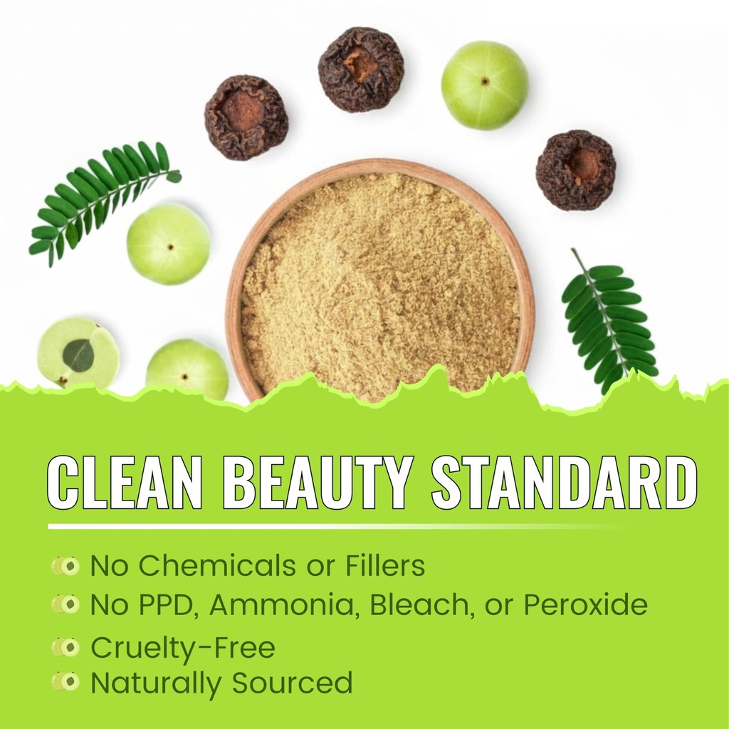 bralcon-amla-powder-100g-100-natural-ind-81P762FZKNL.jpg