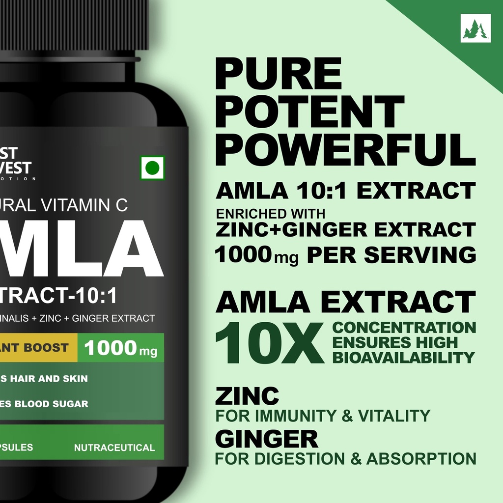 amla-extract-10x-potency-with-zinc-ginge-81FCW+1jBeL.jpg