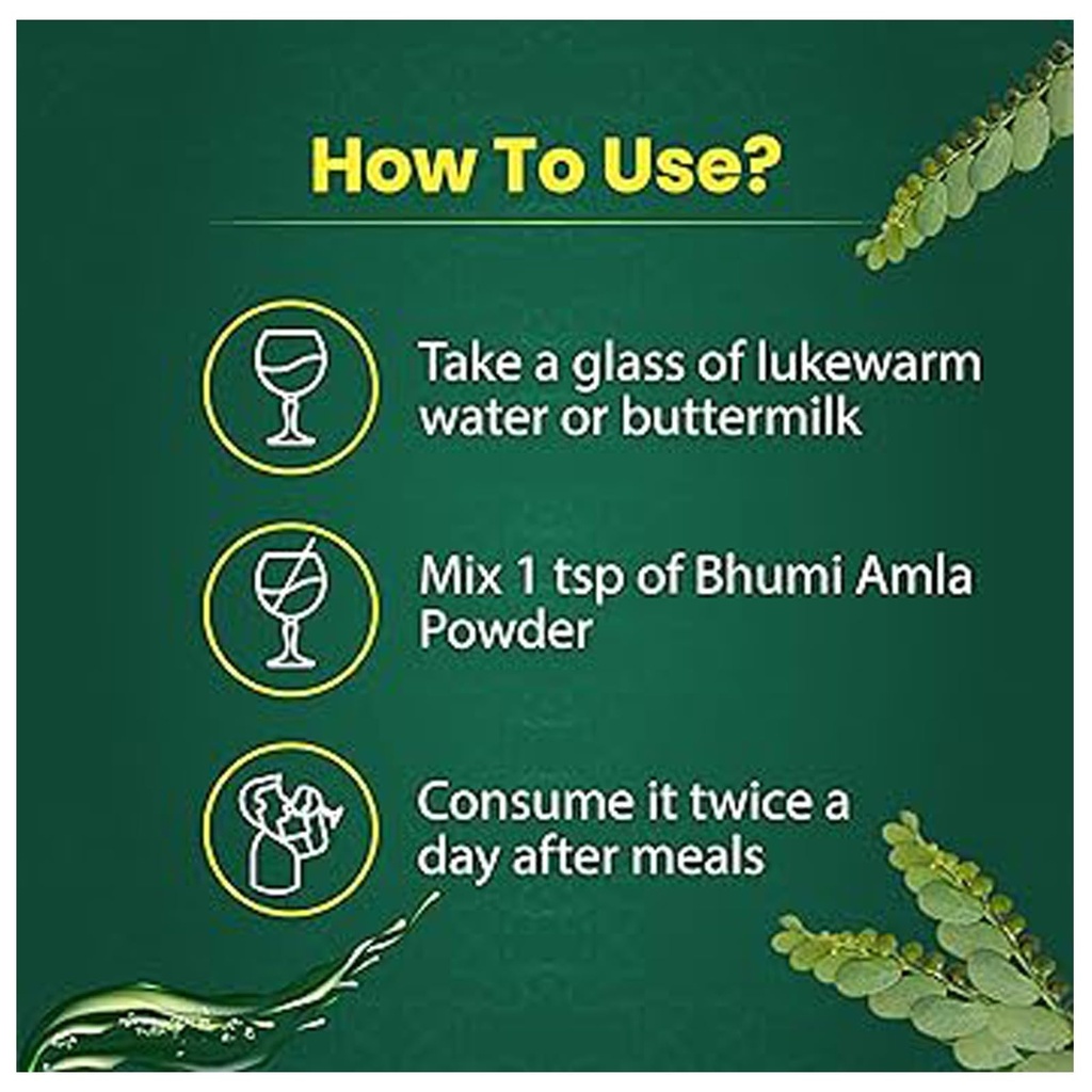 iagrifarm-bhumi-amla-powder-450-gram-bhu-71gfaVn6SBL.jpg