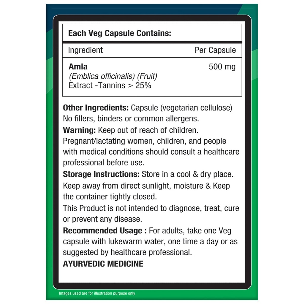 nourishvitals-amla-vitamin-c-with-tannin-61mXlW4ARhL.jpg