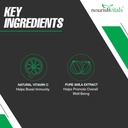 nourishvitals-amla-vitamin-c-with-tannin-51i4fgshvwL.jpg