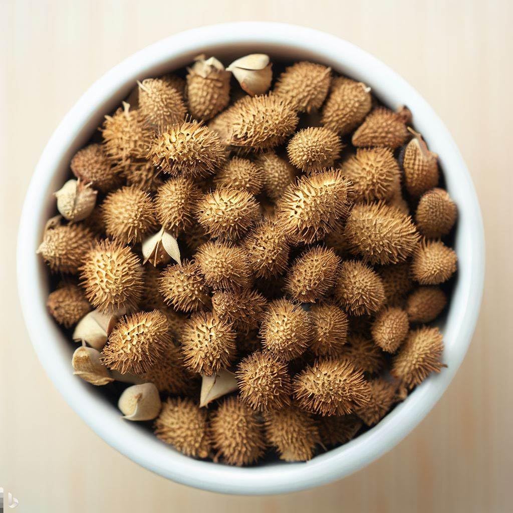 gokhru-powder-150g-gokshura-tribulus-ter-71w2XBIrsIL.jpg