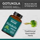 gotu-kola-tablets-10000mg-ayurvedic-90-c-819fbjKwA1L.jpg