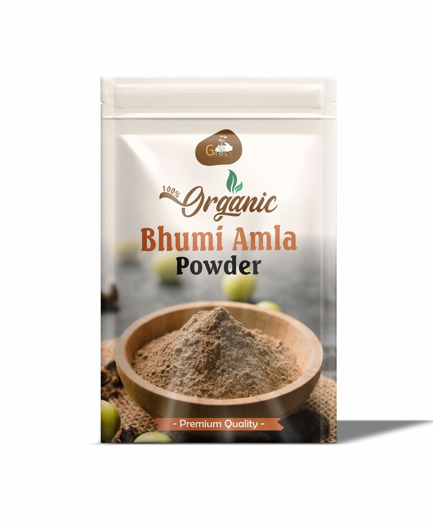 bhumi-amla-powder-churn-250-gm-organic-i-71FF4rBzXKL.jpg